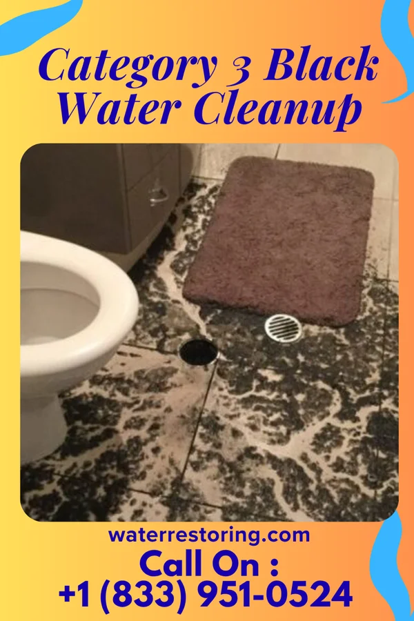 Category 3 Black Water Cleanup in Beloit, KS